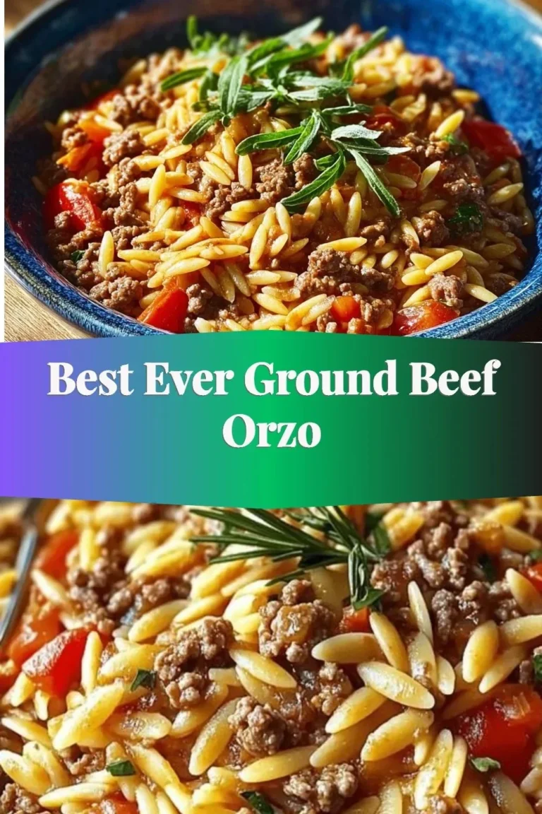 Bowl of delicious ground beef orzo with herbs and cheese