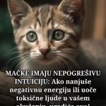 MAČKE IMAJU NEPOGREŠIVU INTUICIJI: Ako nanjuše negativnu energiju ili uoče toksične ljude u vašem okuženju, uradiće ovo!