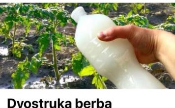 Dvostruka Berba Paradajza, Krastavaca I Bez Štetočina: Sipajte ovo u baštu!