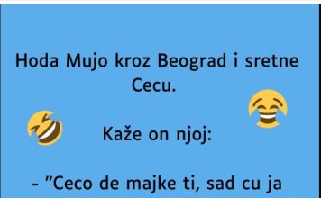 VIC: Mujo sretne Cecu VIC: Mujo sretne Cecu - featured image