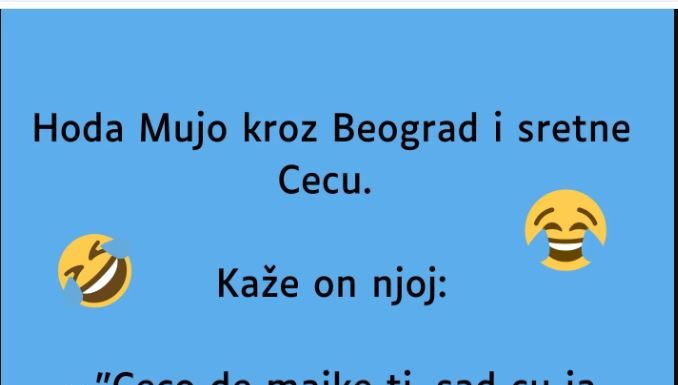VIC: Mujo sretne Cecu VIC: Mujo sretne Cecu - featured image