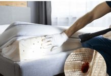 OVO SU ZNAKOVI DA U KUĆI IMATE STJENICE – EVO KAKO DA IH SE RIJEŠITE OVO SU ZNAKOVI DA U KUĆI IMATE STJENICE – EVO KAKO DA IH SE RIJEŠITE - featured image