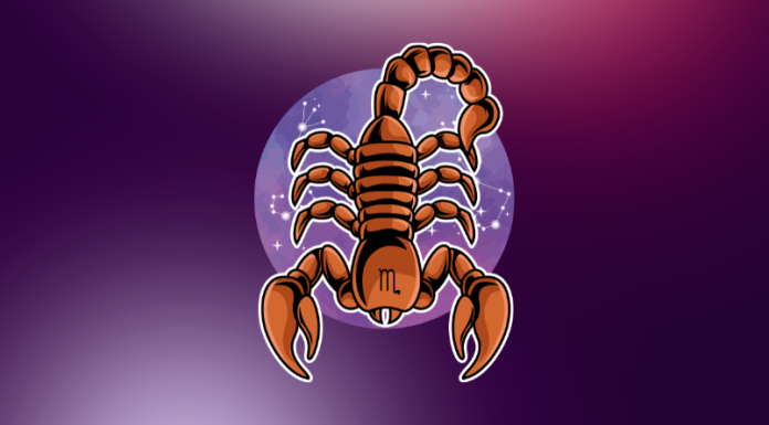 Only 3 Zodiac Signs Are Strong Enough to Handle Scorpio in Marriage