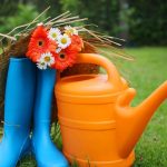 Odlazite na odmor? Evo kako da vaše biljke prežive bez zalivanja – četiri trika koje će vam spasiti zelenilo! Odlazite na odmor? Evo kako da vaše biljke prežive bez zalivanja – četiri trika koje će vam spasiti zelenilo! - featured image